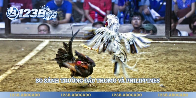 So sánh trường đấu Thomo và Philippines