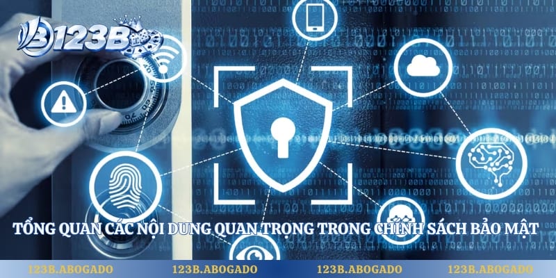 Tổng quan các nội dung quan trọng trong chính sách bảo mật 123B 